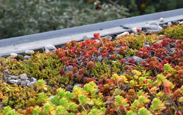 the cost of Cumwhinton green roof installation