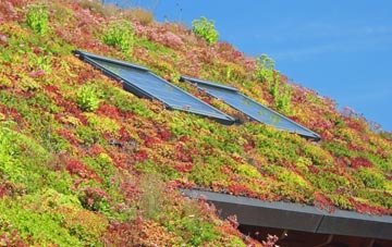 Cumwhinton living roof systems